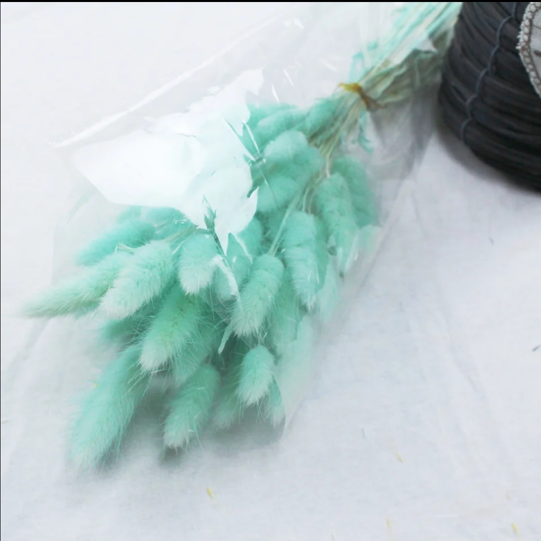 Dried Grass Rabbit Tail, 1 Bouquet